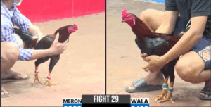 Trận 29 CPC3 18/7/2025 - Nhựt Long An Chồng Độ Thành Công