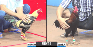 Trận 5 CPC3 28/7/2025 - Phú Sài Gòn Ôm Chuối Hiệu Ra Sân Và Cái Kết