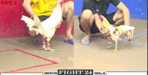 Trận 24 CPC1 22/7/2025 - Trận Đấu Chấp Căng Nhất Hôm Nay Tại Thomo