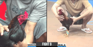 Trận 9 CPC3 27/7/2025 - Anh Tính Gà King Không Làm Anh Em Thất Vọng