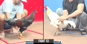 Trận 13 CPC3 29/7/2025 - Bé Bến Tre Tung Bướm Hiệu Ra Sân Và Cái Kết