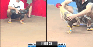 Trận 36 CPC3 14/7/2025 - Tuấn Bình Dương Bắt Chước Phong Cách Bảo Sting