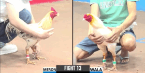 Trận 13 CPC3 16/7/2025 - Ton Tiền Phản Kèo Gấu Bến Tre Phút 90