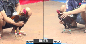 Trận 9 CPC3 19/7/2025 - Bồ Tuấn Sĩ Không Làm Anh Em Thất Vọng