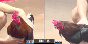 Trận 15 CPC3 25/7/2025 - Cậu Đông Mà Ra Sân Thì Không Làm Anh Em Thất Vọng