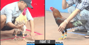 Trận 12 CPC3 30/7/2025 - Tuấn Hóc Môn Dí Bạc Lê Văn An Giang Và Cái Kết