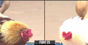 Trận 25 CPC3 31/7/2025 - Minh Lý Sóc Trăng Tiễn Dự Vũng Tàu Đi Ra Khơi