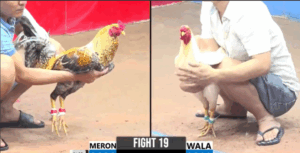 Trận 19 CPC3 19/7/2025 - Sĩ Bình Dương Tung Cú Cọp Cứu Chủ Phút 90