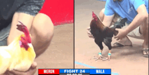 Trận 24 CPC3 27/7/2025 - Hưng Cần Thơ Ra Mắt Trận Giải Không Thuận Lợi