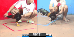 Trận 21 CPC3 19/7/2025 - Ton Tiền Giang Tung Hàng Xịn Vào Sân