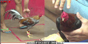 Trận 30 CPC1 14/7/2025 - Trận Đấu Đáng Chú Ý Nhất Hôm Nay