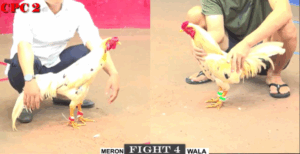 Trận 4 CPC2 16/7/2025 - Bảo Sting Hạ Long Thomo Trong Cuộc Gặp Đầu Tiên