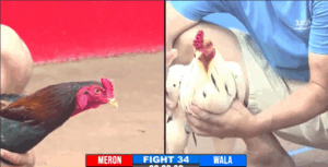 Trận 34 CPC3 27/7/2025 - Hưng Cần Thơ Trả Thù Mình Hậu Giang Tại Giải