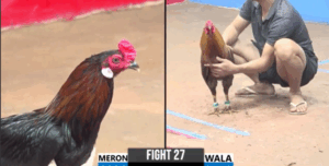 Trận 27 CPC3 19/7/2025 - Trận Chung Kết CPC3 Được Tái Diễn Lại