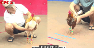 Trận 7 CPC2 20/7/2025 - Bảo Sting Tiếp Tục Bại Tướng Trước Cậu Đông