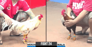 Trận 24 CPC3 29/7/2025 - Nhí Biện Kết Hợp Với Beo Biện C3 Tạo Cơn Địa Chấn