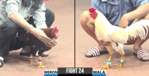 Trận 24 CPC3 26/7/2025 - Phương Tóc Dài Ra Sân Trận Đầu Cũng Như Trận Cuối Cùng