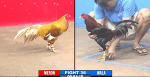 Trận 36 CPC3 27/7/2025 - Trận Tranh Giải Nhì Của Idol Hưng Cần Thơ