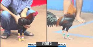 Trận 3 CPC3 5/8/2025 - Sĩ Bình Dương Tung Điều Hiệu Ra Sân