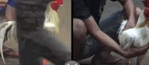 Trận 41 Tonhon 27/8/2025 - Hưng Cần Thơ Rớt Nài Trước Minh Hậu Giang Tại Giải