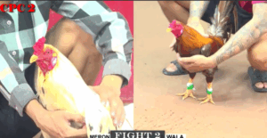 Trận 2 CPC2 6/8/2025 - Bảo Sting Bị Phản Kèo Ngay Từ Trận Đầu Tiên