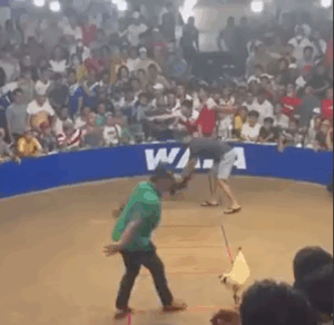 Trận 17 Tonhon 27/8/2025 - Bảo Sting Chấp Doul Campuchia 3 Chấm Gà