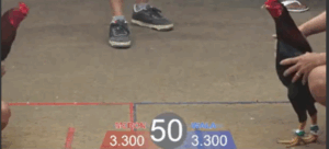 Trận 50 Tonhon 27/8/2025 - Quốc Bình Dương Ra Sân Tại Tonhon