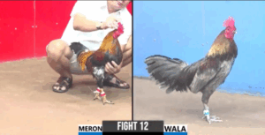 Trận 12 CPC3 5/8/2025 - Chạm Trán Hot Nhất Hôm Nay Phúc Bình Dương Xổ 500 Triệu