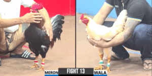 Trận 13 CPC3 5/8/2025 - Trận Bị Gạt Giò Duy Nhất Của Un Campuchia