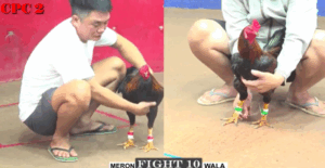 Trận 10 CPC2 6/8/2025 - Trận Thắng Đầu Tay Chỉ 3 Chân Của Bảo Sting