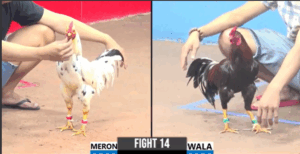 Trận 14 CPC3 3/8/2025 - Khang CR7 Phóng Bạc Đối Thủ Còn Ăn 5 Và Cái Kết