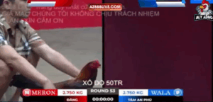 Trận 53 Bồ Tonhon 12/9/2025 - Bảo Sting Bắt Đầu Vào Luồng Xui Lại Vào Buổi Tối