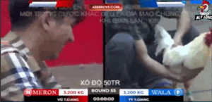 Trận 55 Bồ Tonhon 12/9/2025 - Trận Cuối Cùng Tại Tonhon Của Idol Bảo Sting