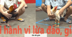 Trận 29 CPC5 23/10/2025 - Trận Đấu Giúp Cánh Nhí Biện Lên Chức Vô Địch