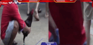 Trận 25 Tonhon 18/10/2025 - Bảo Sting Hạ Doul Campuchia Tại Giải Tonhon