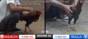 Trận 34 Tonhon 18/10/2025 - Bảo Sting Lấy Lại Phong Độ Dẹp Loạn CPC