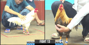 Trận 13 CPC6 6/10/2025 - Long Thomo Thắng Đẳng Cấp Trước Phú Sài Gòn