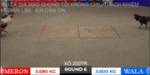 Trận 6 Bồ Tonhon 10/10/2025 - Phèn Cụt Móng Của Bảo Sting Ra Sân Và Cái Kết