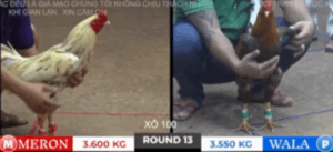 Trận 13 Tonhon 18/10/2025 - Hưng Cần Thơ Ra Sân Đụng Cú Hiệu Doul CPC Và Cái Kết